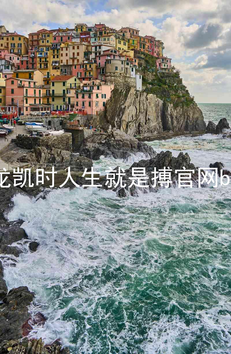尊龙凯时人生就是搏官网bjl8