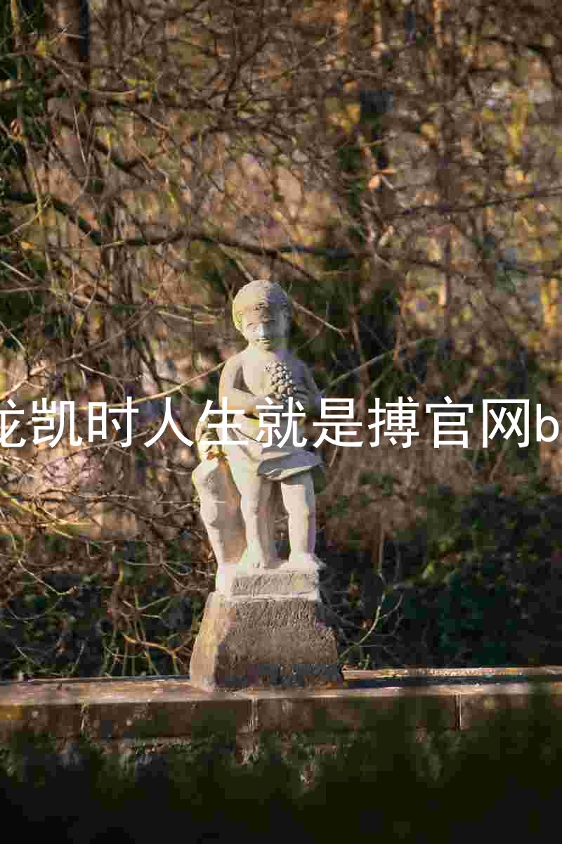 尊龙凯时人生就是搏官网bjl8